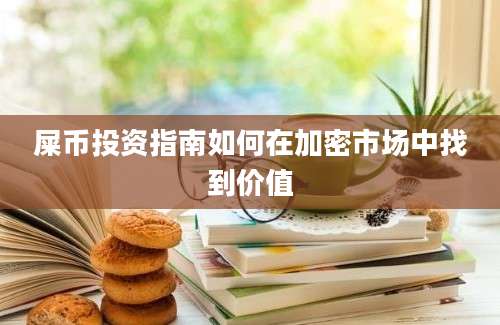 屎币投资指南如何在加密市场中找到价值