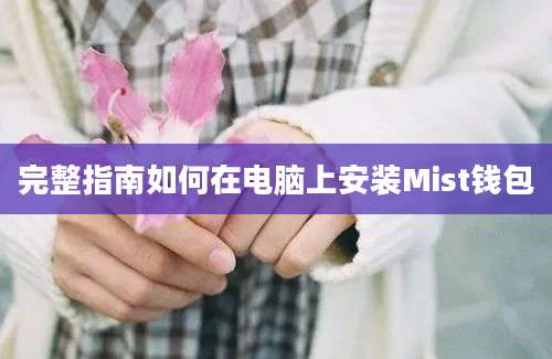 完整指南如何在电脑上安装Mist钱包