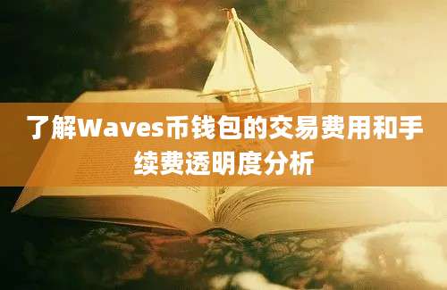 了解Waves币钱包的交易费用和手续费透明度分析