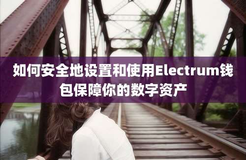 如何安全地设置和使用Electrum钱包保障你的数字资产