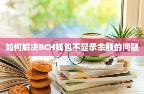 如何解决BCH钱包不显示余额的问题