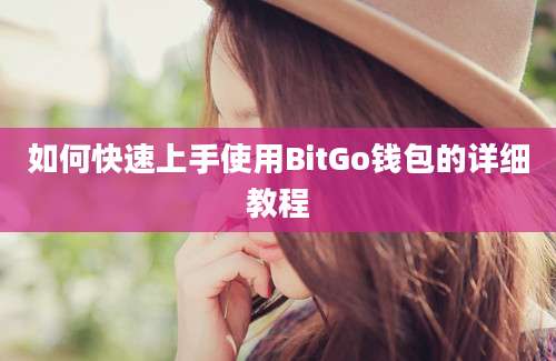 如何快速上手使用BitGo钱包的详细教程