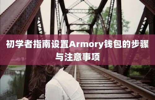 初学者指南设置Armory钱包的步骤与注意事项