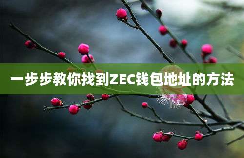 一步步教你找到ZEC钱包地址的方法