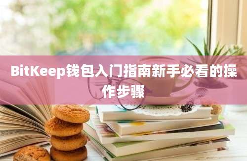 BitKeep钱包入门指南新手必看的操作步骤