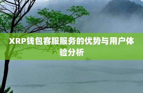 XRP钱包客服服务的优势与用户体验分析