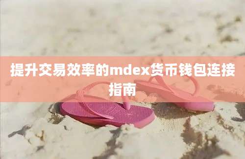 提升交易效率的mdex货币钱包连接指南