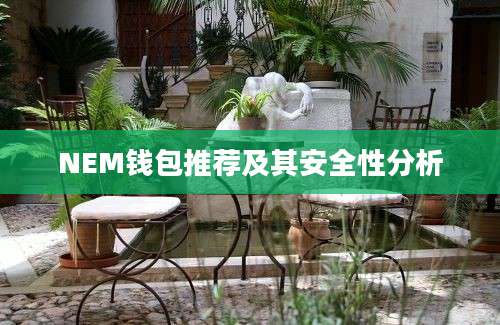 NEM钱包推荐及其安全性分析