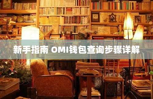 新手指南 OMI钱包查询步骤详解