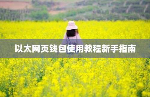 以太网页钱包使用教程新手指南