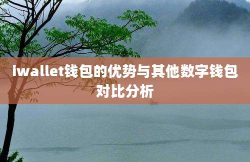 iwallet钱包的优势与其他数字钱包对比分析