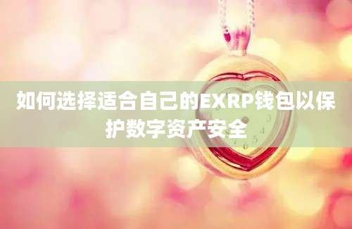 如何选择适合自己的EXRP钱包以保护数字资产安全