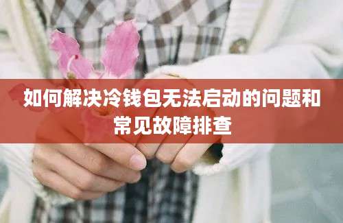 如何解决冷钱包无法启动的问题和常见故障排查