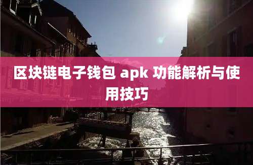 区块链电子钱包 apk 功能解析与使用技巧