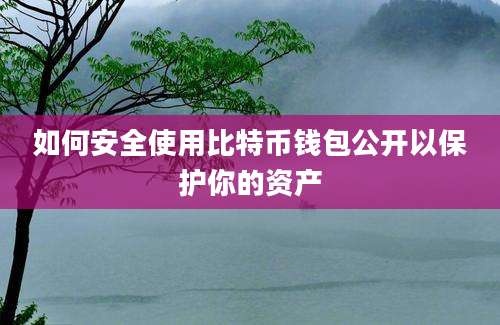 如何安全使用比特币钱包公开以保护你的资产