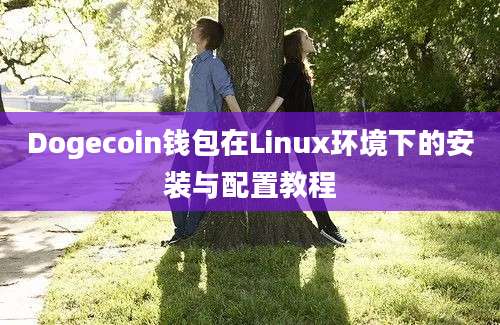 Dogecoin钱包在Linux环境下的安装与配置教程