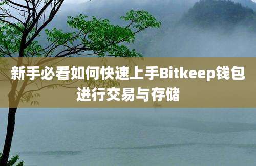 新手必看如何快速上手Bitkeep钱包进行交易与存储