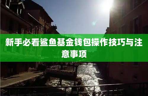 新手必看鲨鱼基金钱包操作技巧与注意事项