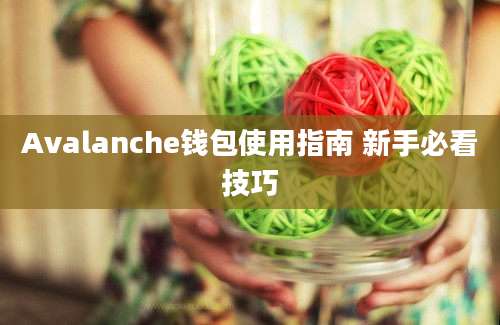 Avalanche钱包使用指南 新手必看技巧