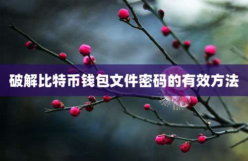 破解比特币钱包文件密码的有效方法