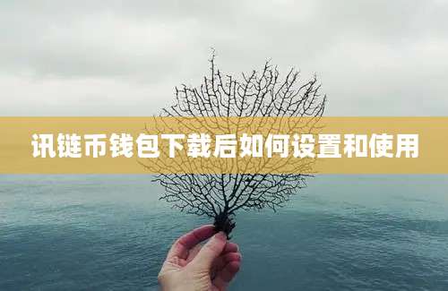 讯链币钱包下载后如何设置和使用