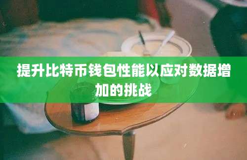 提升比特币钱包性能以应对数据增加的挑战