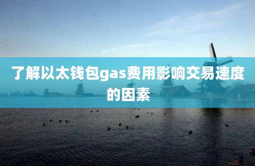 了解以太钱包gas费用影响交易速度的因素