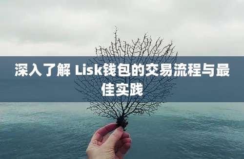 深入了解 Lisk钱包的交易流程与最佳实践