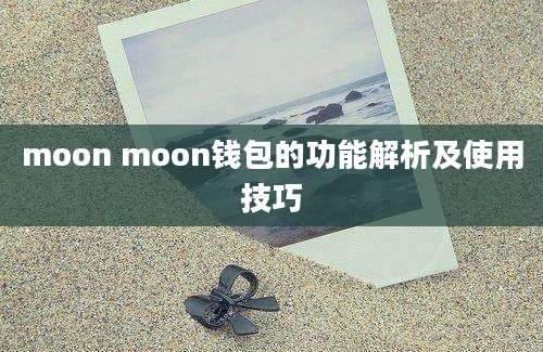 moon moon钱包的功能解析及使用技巧