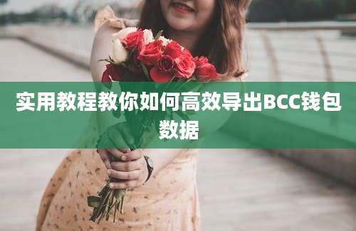 实用教程教你如何高效导出BCC钱包数据