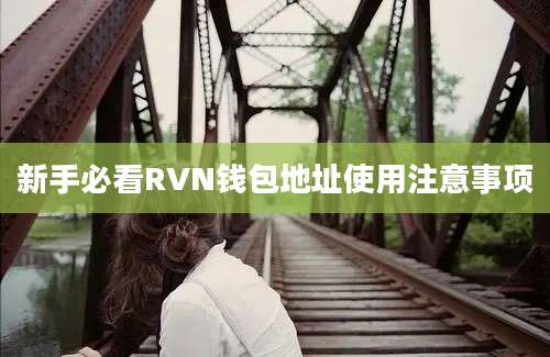 新手必看RVN钱包地址使用注意事项