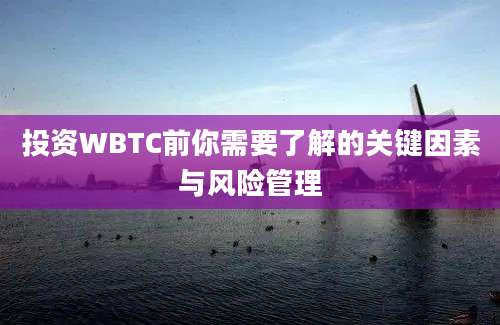 投资WBTC前你需要了解的关键因素与风险管理