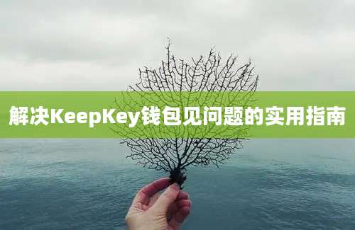 解决KeepKey钱包见问题的实用指南