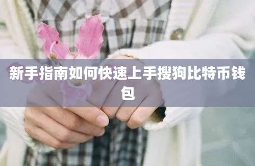 新手指南如何快速上手搜狗比特币钱包