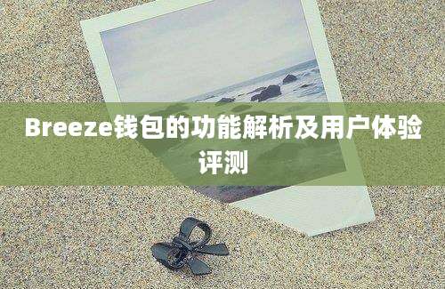 Breeze钱包的功能解析及用户体验评测