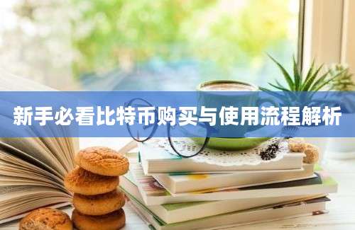 新手必看比特币购买与使用流程解析