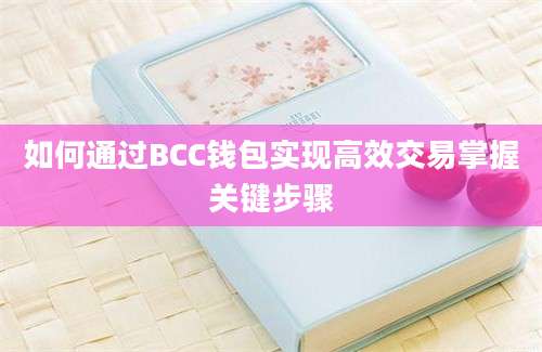 如何通过BCC钱包实现高效交易掌握关键步骤