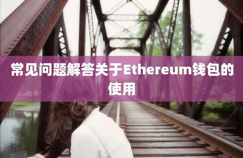 常见问题解答关于Ethereum钱包的使用