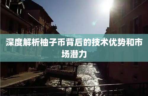 深度解析柚子币背后的技术优势和市场潜力