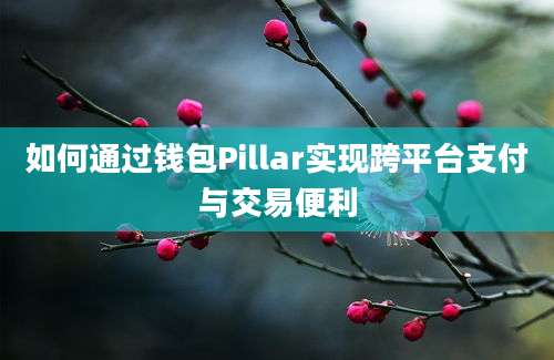 如何通过钱包Pillar实现跨平台支付与交易便利