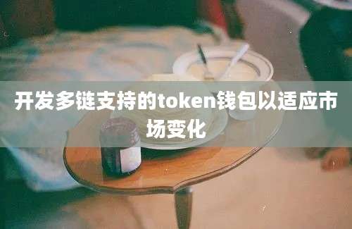 开发多链支持的token钱包以适应市场变化