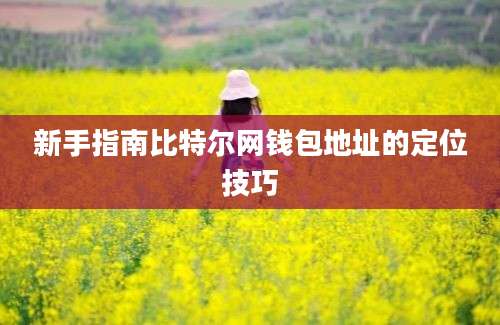 新手指南比特尔网钱包地址的定位技巧