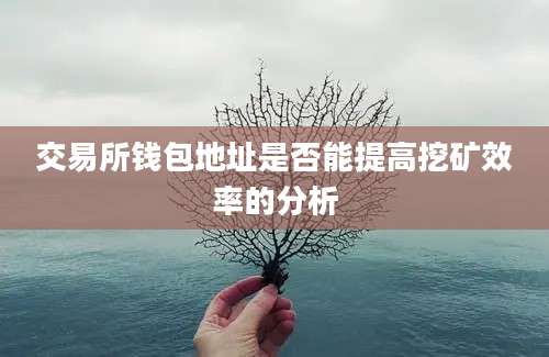 交易所钱包地址是否能提高挖矿效率的分析