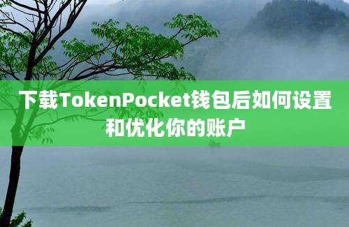 下载TokenPocket钱包后如何设置和优化你的账户