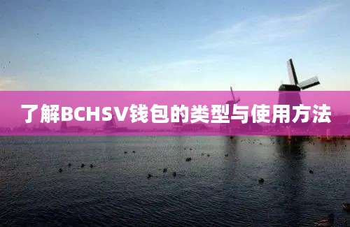 了解BCHSV钱包的类型与使用方法