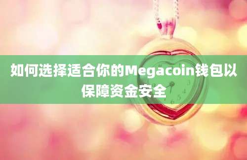 如何选择适合你的Megacoin钱包以保障资金安全