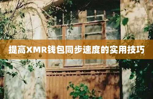 提高XMR钱包同步速度的实用技巧