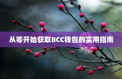 从零开始获取BCC钱包的实用指南