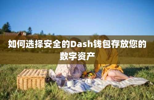 如何选择安全的Dash钱包存放您的数字资产