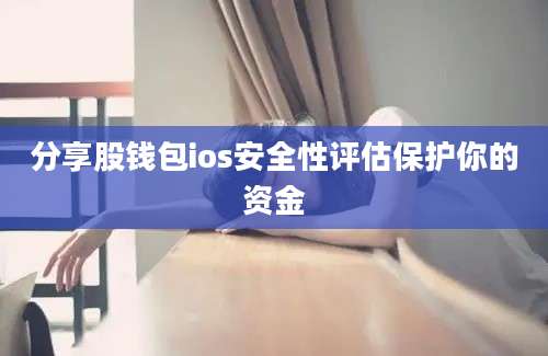 分享股钱包ios安全性评估保护你的资金